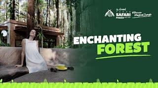 Enchanting Forest The Grand Taman Safari Prigen the New Favorite Family Destination in East Java