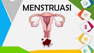 Menstruasi - Video Edukasi
