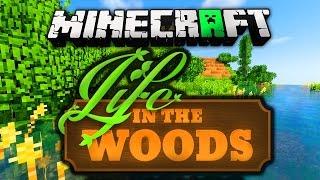 Minecraft Life In The Woods installieren mit Shader