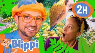 Blippi and Meekahs Scientific Scavenger Hunt  BEST OF BLIPPI TOYS  Educational Videos for Kids