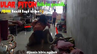 vidio lucu ULAR PITON Bikin Panik Prank Bocil Lagi Tidur  dijamin bikin ngakak Snake Prank