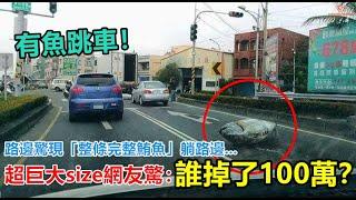 有魚跳車！路邊驚現「整條完整鮪魚」躺路邊   超巨大size網友驚：誰掉了100萬？