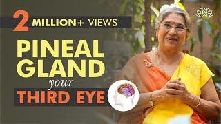 Take Care of your Pineal Gland by doing this  Dr. Hansaji Yogendra