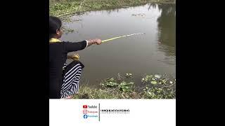 Beautiful Girl Hunting Black Carp Suddenly Meets Strange Fish #girl_fishing #hook_fishing #shorts