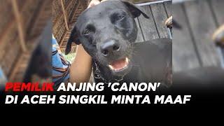 Unggahannya Membuat Gaduh Pemilik Anjing Canon di Aceh Singkil Minta Maaf #iNewsPagi 2810
