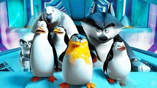 PENGUINS OF MADAGASCAR CLIP COMPILATION #2 2014