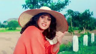 Jabse Tumko Dekha Hai Sanam  Full HD Video  Damini  Kumar Sanu Sadhana  Hindi Song  90s Song