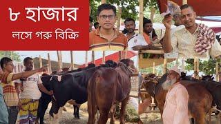 লসে গরু বিক্রি ক্রেতা নেই হযরতপুর হাটে।৯টি গরুর ১টি গরু বিক্রি। Sara Bangla