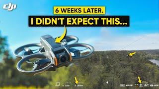 DJI Avata 2 - 6 Weeks Later Pros & CONS WATCH BEFORE YOU BUY