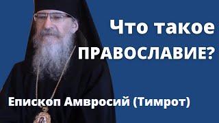 Православие суть веры история почему важно быть православным? Епископ Амвросий Тимрот