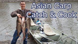 Asian Carp - Catch and Cook - BETTER than Catfish