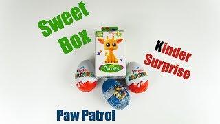 Opening Sweet Box Safari Cuties series 2 Paw Patrol Kinder Surprise #31