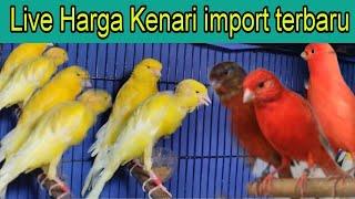 Review Harga Burung Kenari import terbaru juni 2024 Di Pasar Burung Pramuka Matraman Jakarta Timur