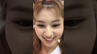 sana exposing jihyo in her natural habitat