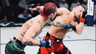 Sean O’Malley vs Petr Yan  UFC 280  2022  Highlights