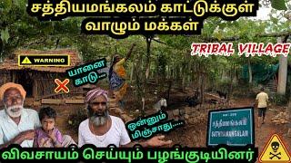 சத்தியமங்கலம் காட்டுக்குள் இப்படியும் ஒரு கிராமமா kottadai tribal villagedhimbamgermalam