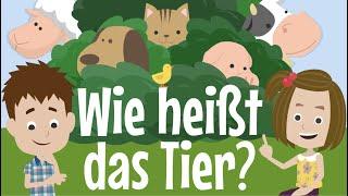 Childrens song Animals & Animal Sounds - Whats the name of the animal? - BlauBlau Kinderlieder