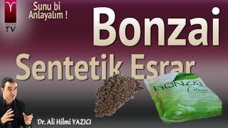 Bonzai - Sentetik Esrar Nedir ? Nasıl Yaygınlaştı ?