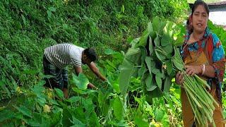 আজ আমাদের রান্না করলো ইলিশ মাছের মাথা দিয়ে কচুর শাক \ Village Style Kachur Shak Recipe