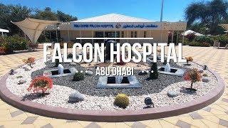 Falcon Hospital Tour  Abu Dhabi UAE  Traveller Passport