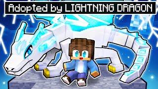 Adopted by the LIGHTNING DRAGON in Minecraft