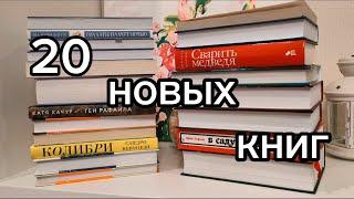 Книжные покупки  20 новых книг