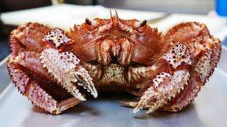 Japanese Street Food - GIANT HAIRY CRAB Seafood Pasta Japan