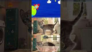 LITTLE KITTEN ADVENTURE 2 - NEW STORY OF CUTE KITTY AND PET CARE - SUPER CARTOON STORY