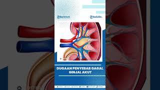 BERITA VIRAL IDAI Beber Dugaan Penyebab Gagal Ginjal Akut Kemungkinan Post Covid atau Obat Sirup