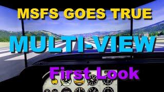 MSFS MULTI VIEW SU10 First Look