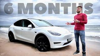 Tesla Model Y Review 6 Months Later - A BIG REGRET?