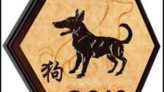 Inilah Ramalan Shio Anjing 2019 Cinta Karir Keuangan Kesehatan Fengshui dan Grafik Bulanan