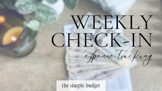 weekly check-in  expense tracking  reconciling non-cash purchases  what i bought this week