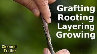 Grafting Rooting Layering Pruning Growing - Channel Trailer