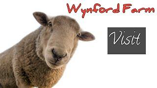 Wynford Farm Aberdeen Scotland Country Side Visit