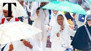 1000 pilgrims feared dead after major heatwave in Saudi Arabia