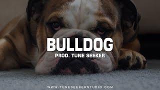 Perfect Freestyle Beat  Hip Hop Beat Old School Instrumental - Bulldog prod. by Tune Seeker