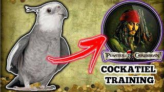 Singing training for cockatiel - Pirates of the Caribbean movie theme COCKATIEL WHISTLE TRAINING