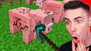 ZEPSUŁEM MINECRAFT...