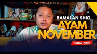 Ramalan Shio Ayam November 2022