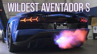 WILDEST AVENTADOR S On The Streets 4K