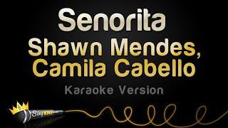 Shawn Mendes Camila Cabello - Señorita Karaoke Version