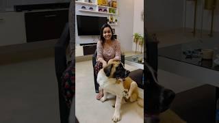 Ellam set ayittundee  #alice #youtube #funny #comedy #love #dog #dog #keralanews #kerala