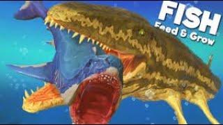 Huge Prognathodon Shows MEGALODON WHO IS BOSS - Feed & Grow Fish  HD