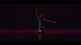 Chinese  dance tutorial《不染》第十三届荷花杯古典舞