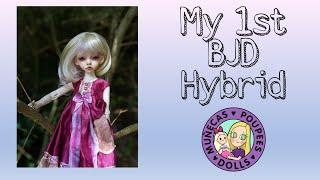 My 1st Ever Hybrid BJD DIM Larina & Doll Leaves