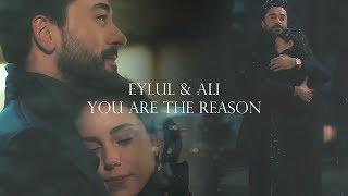 Ali & Eylül - You Are The Reason  Kalp Atışı