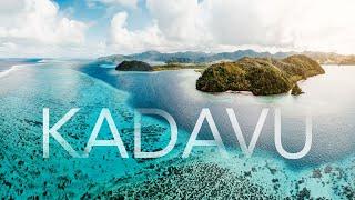 FIJI  Kadavu Island scuba diving the Great Astrolabe Reef