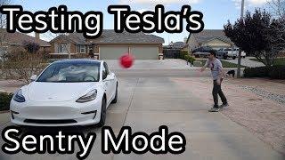 Does Teslas Sentry Mode Work?