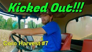 Kicked Out Of The Combine  Corn Harvest #7 91124